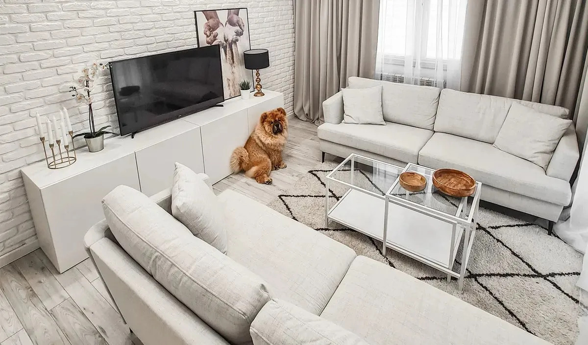 Làm Thế Nào Để Đặt Sofa Và TV Một Cách Hoàn Hảo Trong Phòng Khách?