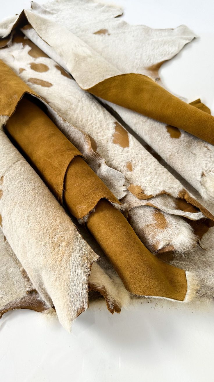 Khám Phá Các Loại Da Động Vật Thông Dụng Trong Ngành Nội Thất