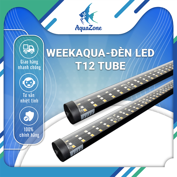 Thông tin sản phẩm Week Aqua T12 TUBE