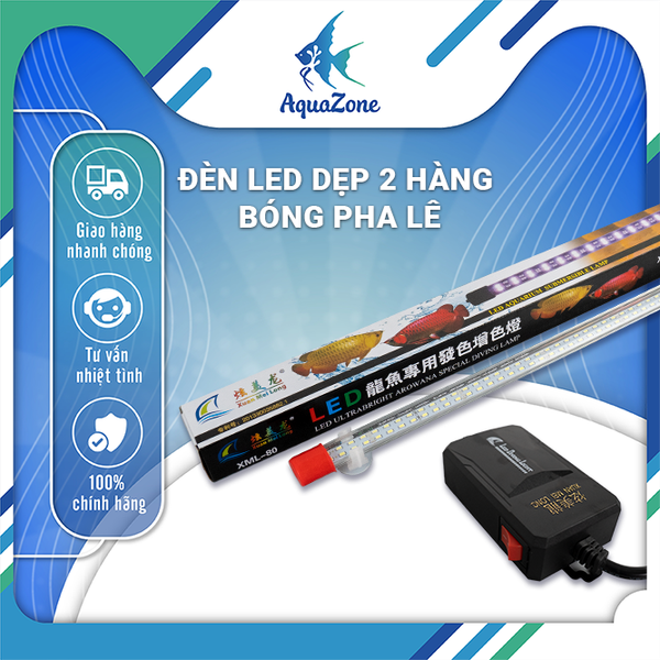 đèn led dẹp xml 2 hàng bóng