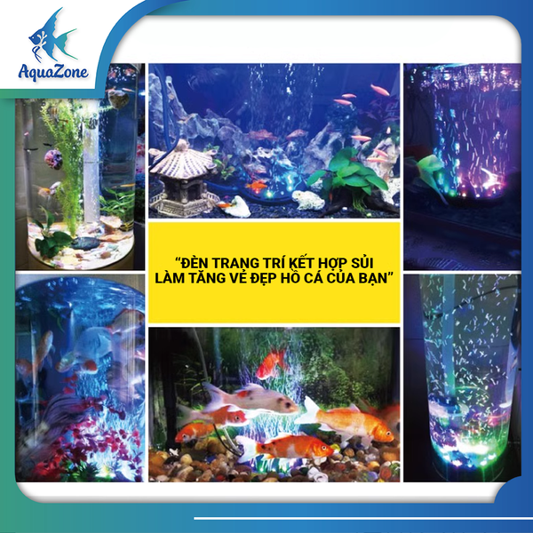 Đèn led nhiều màu kết hợp sủi oxy ZY trang trí bể cá siêu đẹp