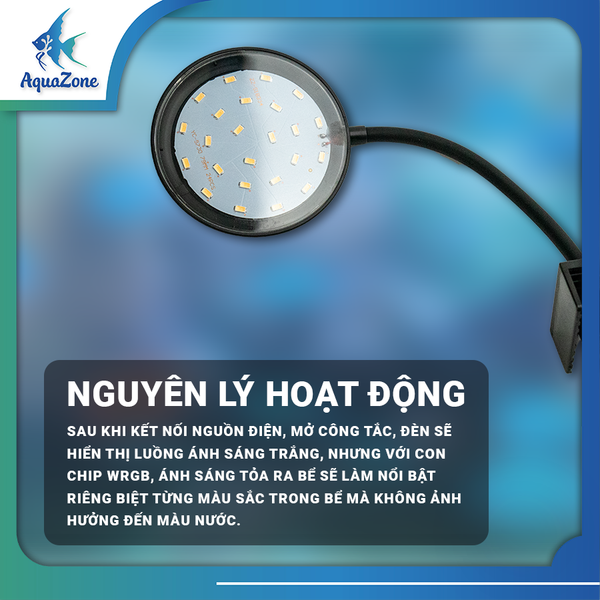 nguyên lý hoạt động đèn tròn xml