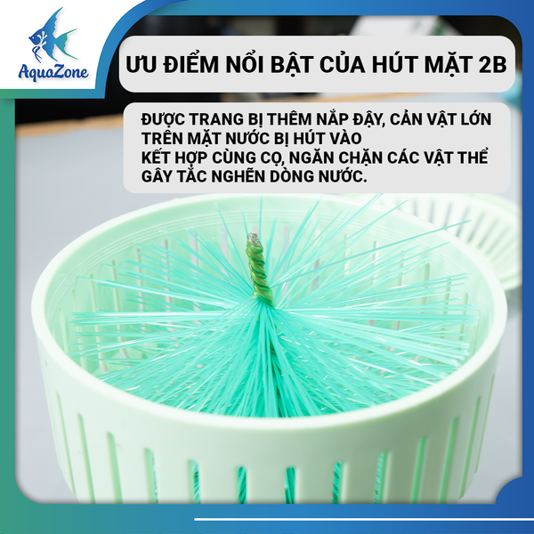 Hút mặt hồ Koi 2B