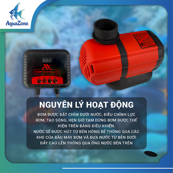 tiêu chuẩn kỹ thuật bơm XIX AC818