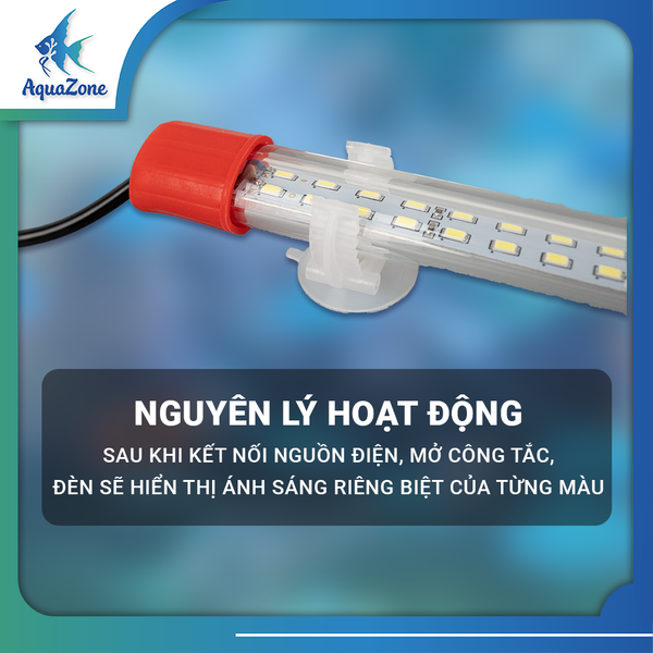 nguyên lý đèn led dẹp xml 2 hàng bóng