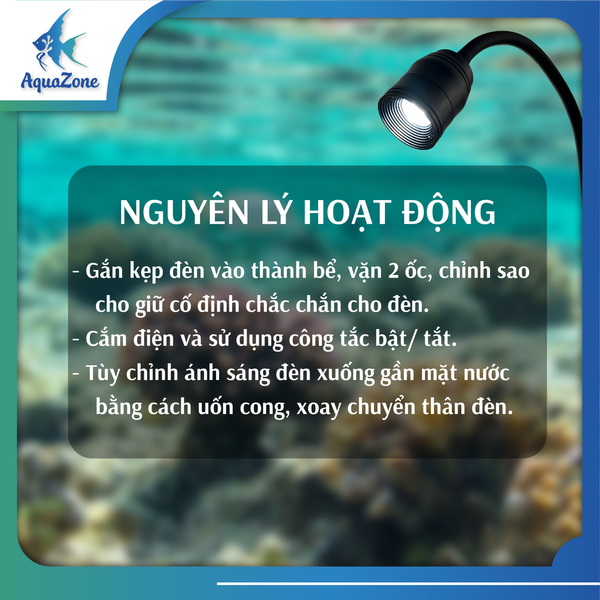 nguyê lý hoạt động đèn rọi XML