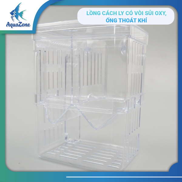 Lồng cách ly, lồng đẻ, lồng áp cá Yee nhiều loại