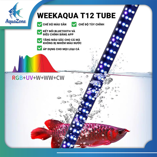 ưu điểm đèn Week Aqua T12 TUBE