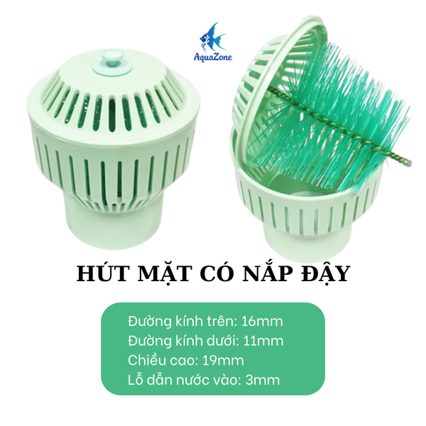 Hút mặt hồ Koi 2B