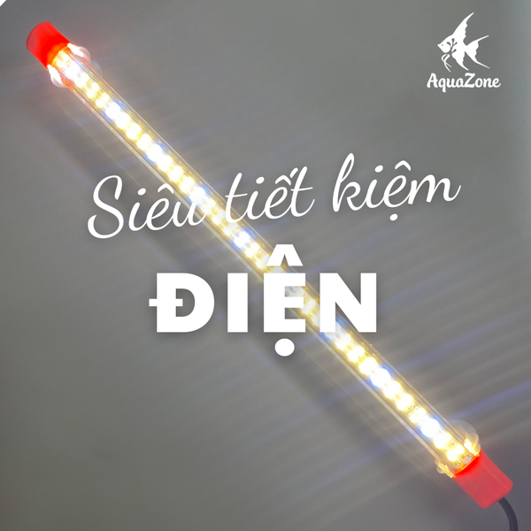 ưu điểm đèn led dẹp xml 2 hàng bóng