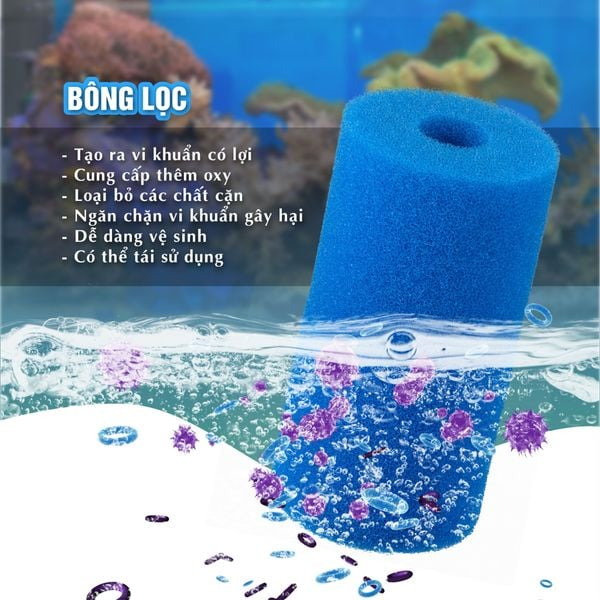 ưu điểm lọc phụ marine