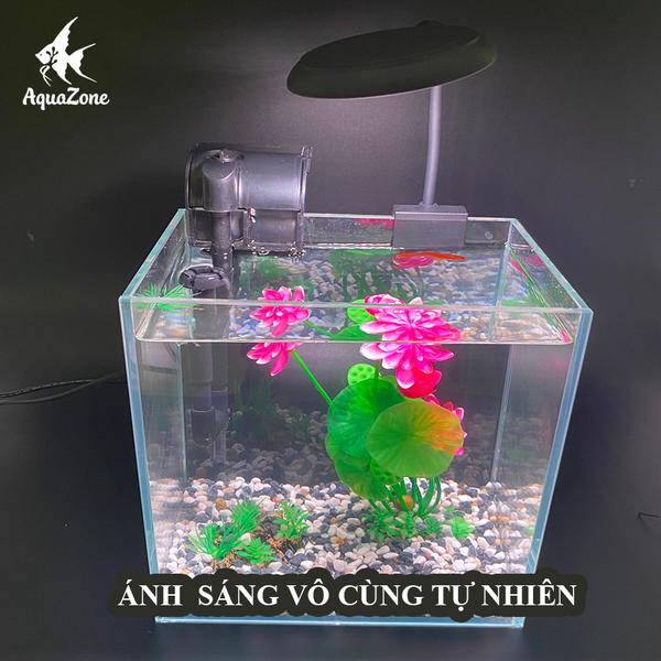 ưu điểm đèn tròn xml