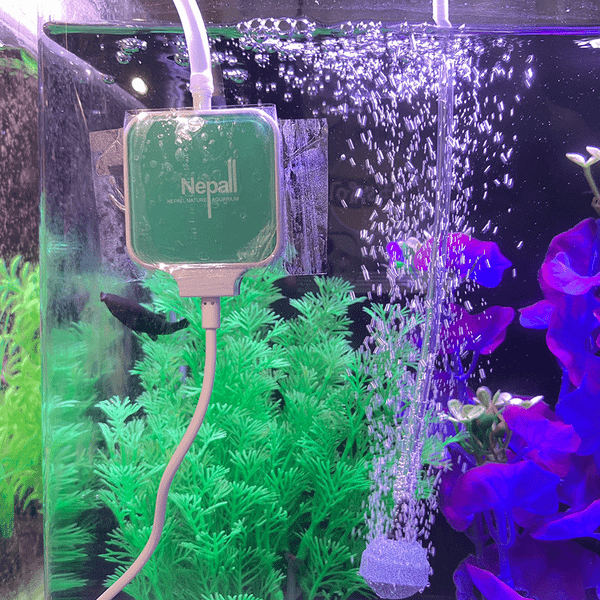 Thông tin sản phẩm Sủi Oxy Mini Siêu Êm Nepall