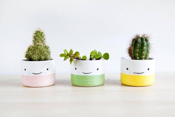 Những chậu cây nhỏ xinh sẽ giúp bàn làm việc thêm sinh động