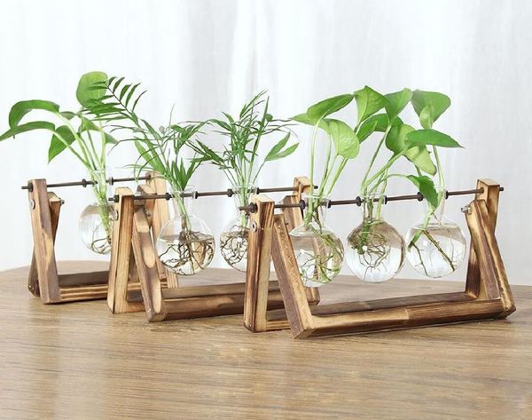 Cây cảnh thủy sinh để bàn phong thủy, hợp mệnh