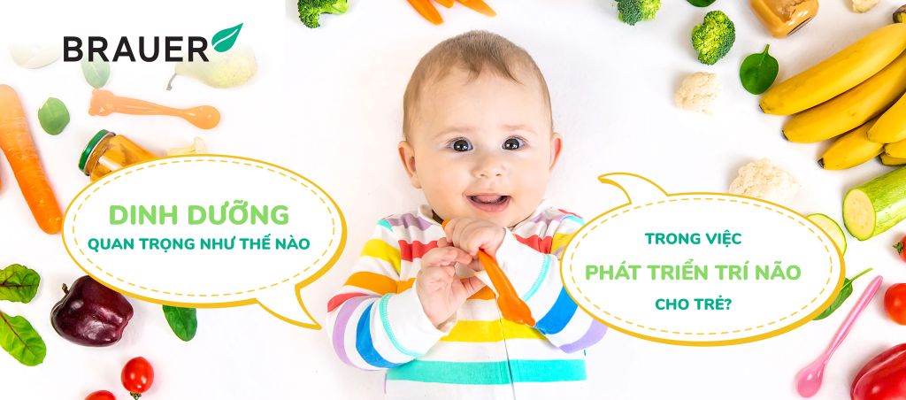 DINH DƯỠNG QUAN TRỌNG NHƯ THẾ NÀO TRONG VIỆC PHÁT TRIỂN TRÍ NÃO CHO TRẺ?