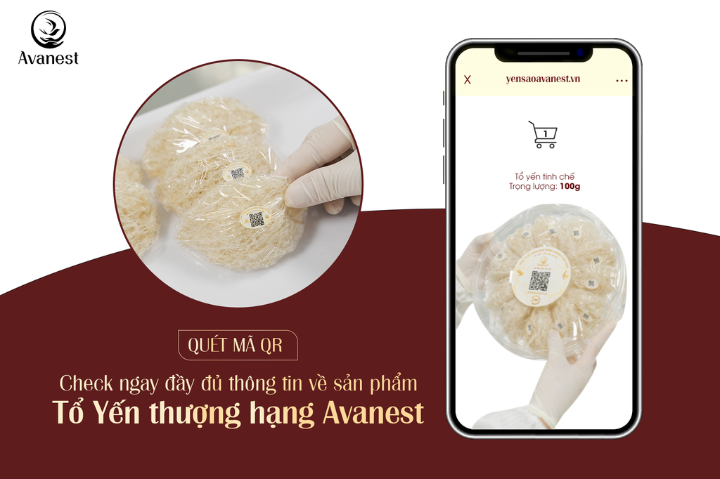 QUÉT MÃ QR – Dễ dàng kiểm tra đầy đủ thông tin về tổ yến thượng hạng Avanest