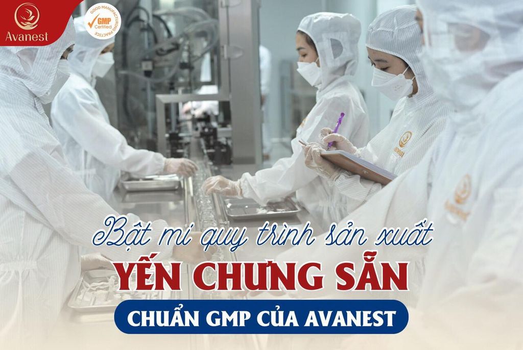 QUY TRÌNH SẢN XUẤT YẾN CHƯNG SẴN CHUẨN GMP CỦA AVANEST