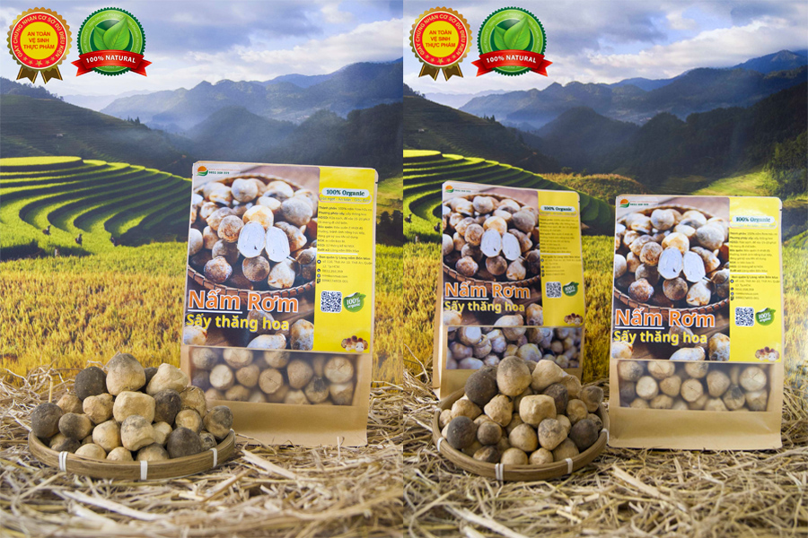 nam Rom say thang hoa chat luong cao tai lang nam Bon Mua.