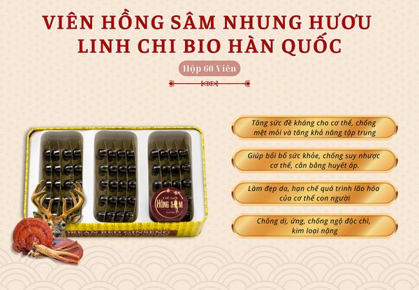 Hình ảnh bài viết