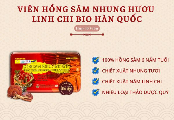 Hình ảnh bài viết