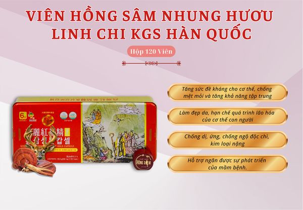 Hình ảnh bài viết
