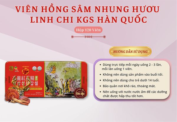 Hình ảnh bài viết