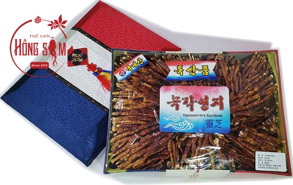 Hộp 500g Nấm linh chi sừng hươu Hàn Quốc chất lượng tại Shop