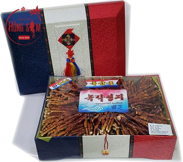 Hình ảnh hộp nấm linh chi sừng hươu Hàn Quốc 500g chất lượng tại Shop