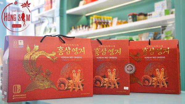 Nước hồng sâm linh chi Pocheon hộp 30 gói * 70ml chính hãng Hàn Quốc