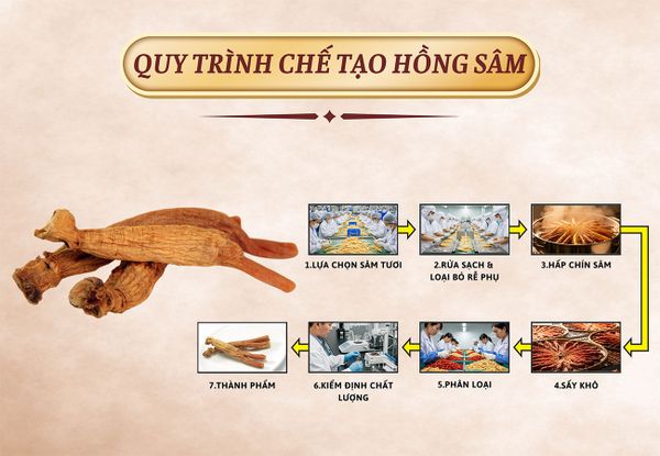 Hình ảnh bài viết