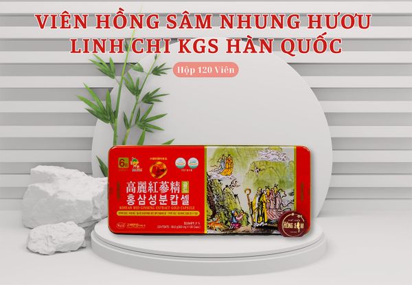 Hình ảnh bài viết