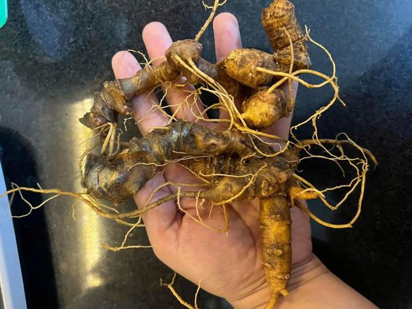 Hình ảnh bài viết