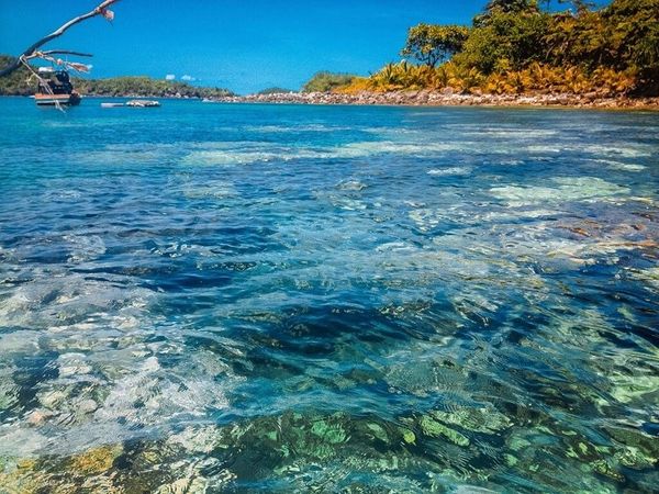 Tour lặn san hô ở Phú Quốc