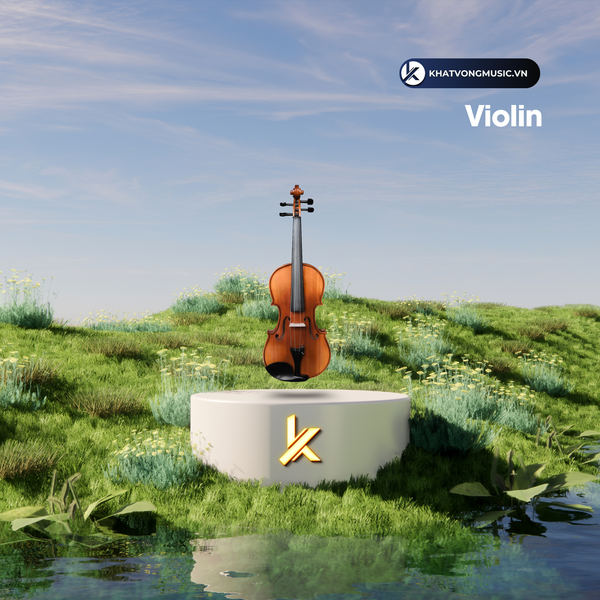 Phân biệt Cello, Violin, Contrabass, Viola