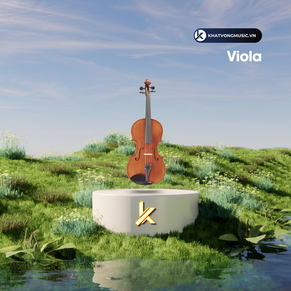 Phân biệt Cello, Violin, Contrabass, Viola