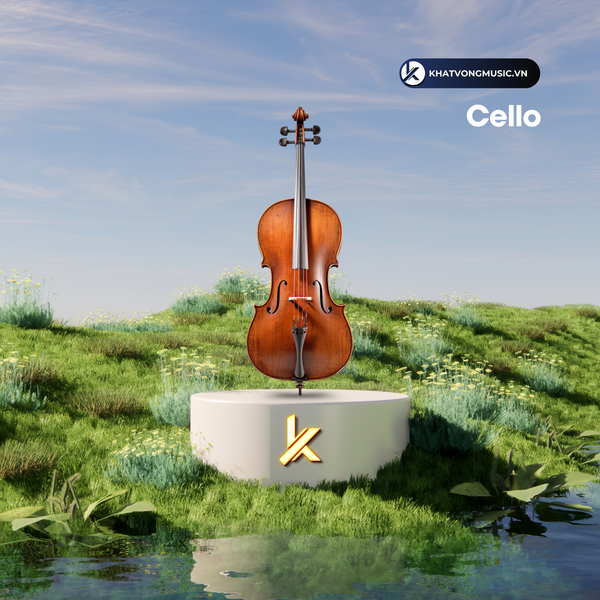 Phân biệt Cello, Violin, Contrabass, Viola