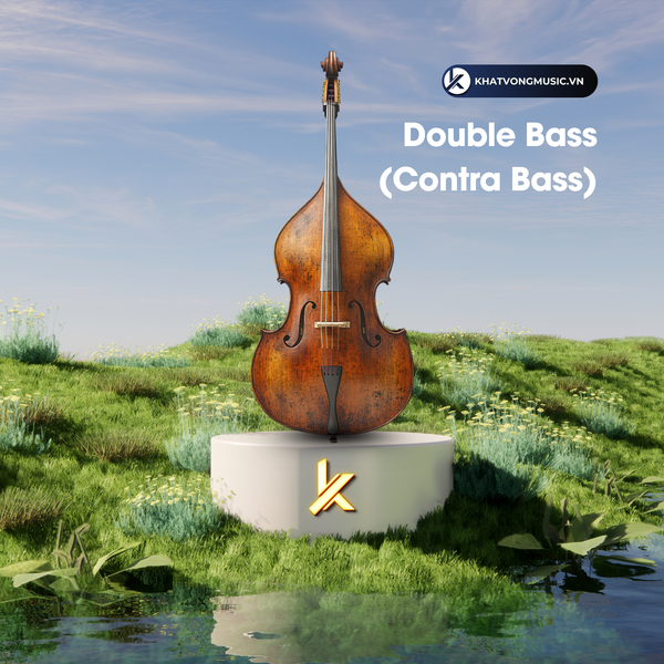 Phân biệt Cello, Violin, Contrabass, Viola