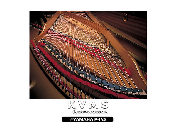 âm thanh đại dương cầm trên Yamaha P-143