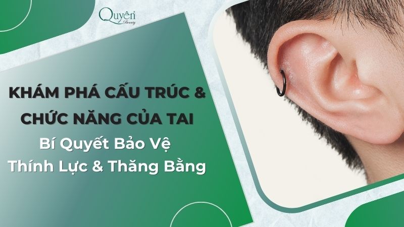 Khám Phá Cấu Trúc Và Chức Năng Của Tai: Bí Quyết Bảo Vệ Thính Lực Và Thăng Bằng