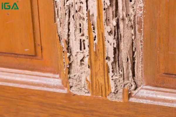 mẫu bàn học sinh bằng gỗ