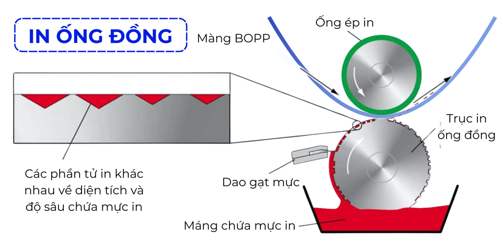 IN ỐNG ĐỒNG LÀ GÌ? QUY TRÌNH IN BĂNG KEO BẰNG TRỤC ỐNG ĐỒNG