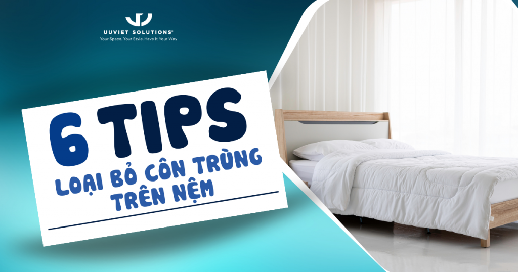6 TIPS LOẠI BỎ CÔN TRÙNG TRÊN NỆM