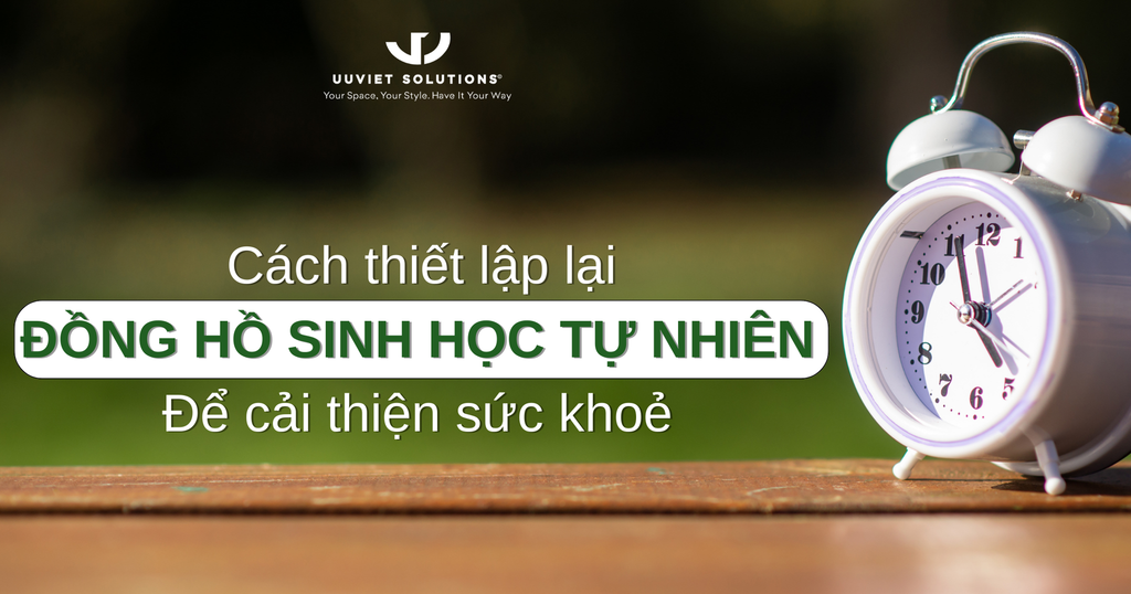 CÁCH THIẾT LẬP LẠI ĐỒNG HỒ SINH HỌC TỰ NHIÊN ĐỂ CẢI THIỆN SỨC KHỎE