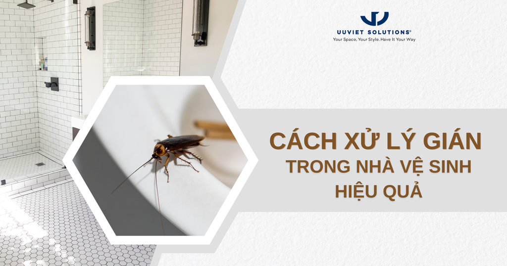 CÁCH XỬ LÝ GIÁN TRONG NHÀ VỆ SINH HIỆU QUẢ