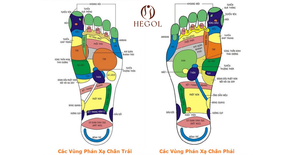 Xoa bóp day ấn các huyệt ở chân và công dụng không ngờ