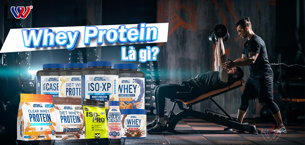 Bột whey protein là gì