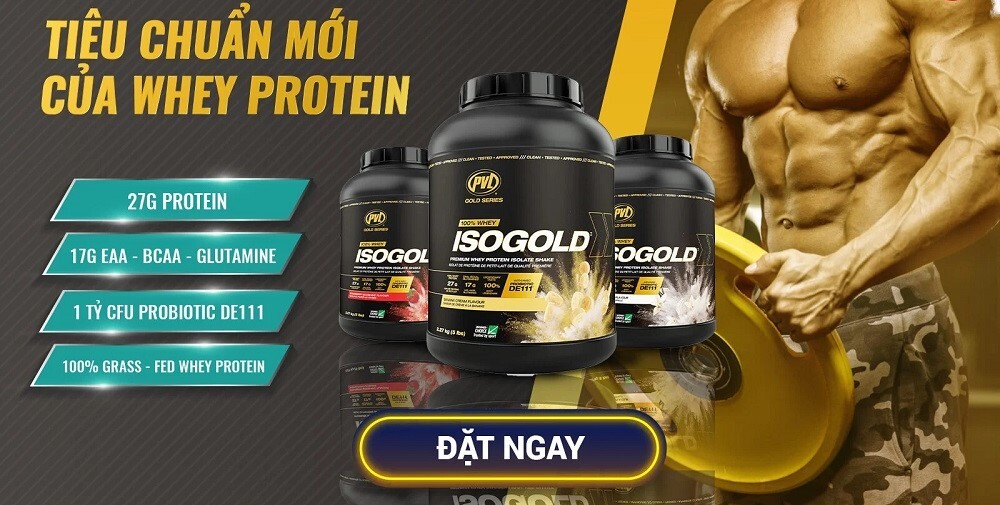 PVL ISO Gold - Premium Whey Protein With Probiotic