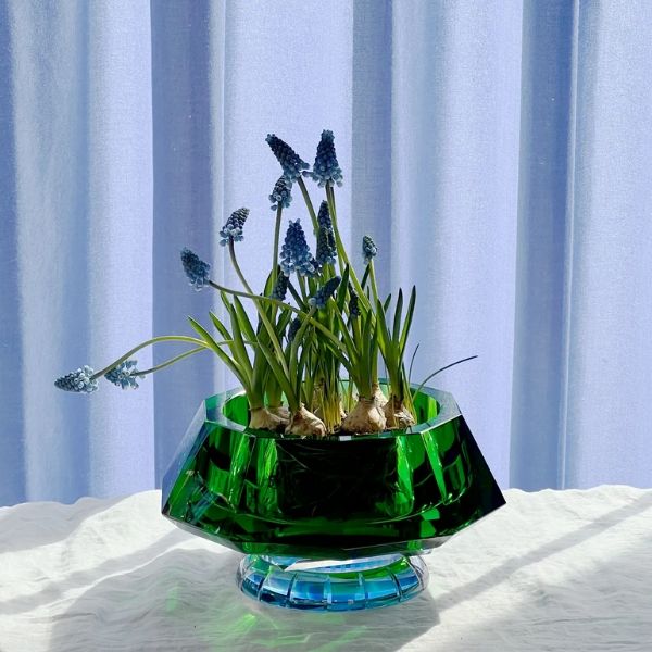 Lizzie Bowl – Sự kết hợp tinh tế giữa tương phản và cân bằng