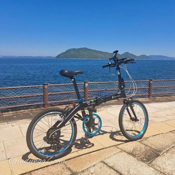 Xe đạp gấp Renault LIGHT10 - 10.8kg Tay cầm và khung xe dễ dàng gập lại bằng cần gạt.